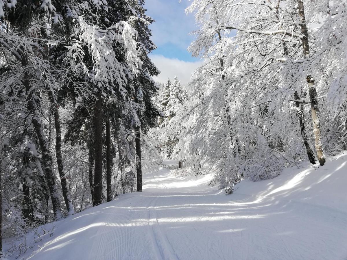 Ferme Des Deux Freres, Autrans, Vercors Autrans-Meaudre-en-Vercors Exterior foto
