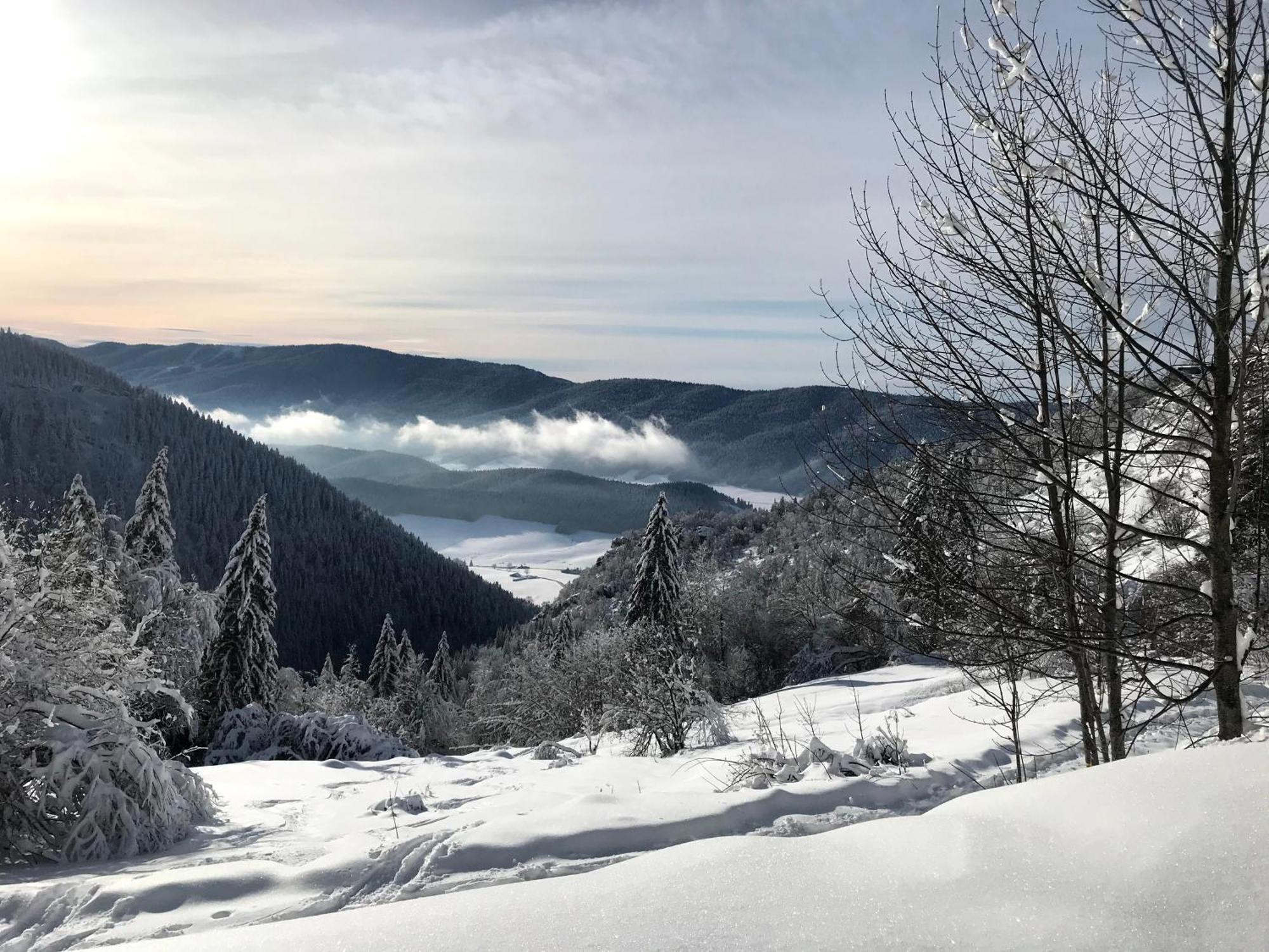 Ferme Des Deux Freres, Autrans, Vercors Autrans-Meaudre-en-Vercors Exterior foto